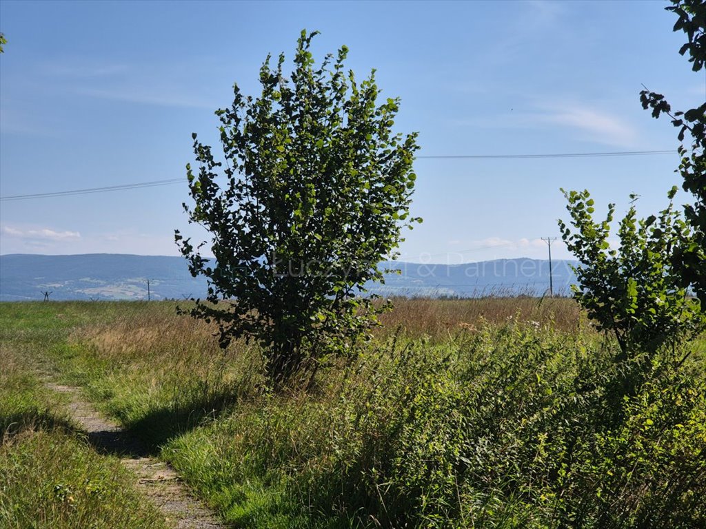 Dom na sprzedaż Bartoszówka  108m2 Foto 6