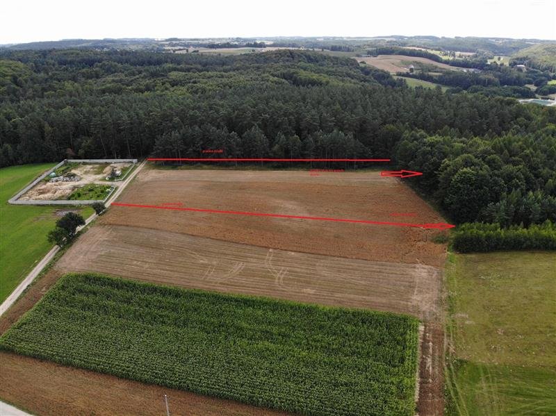 Działka pod lasem w Ustarbowie, 10784 m², cicha okolica Ustarbowo, Leśna  10 784m2 Foto 1