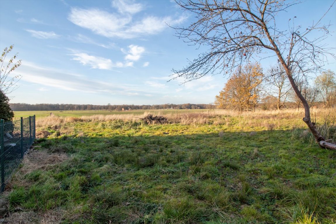 Działka budowlana na sprzedaż Lubockie  2 185m2 Foto 4