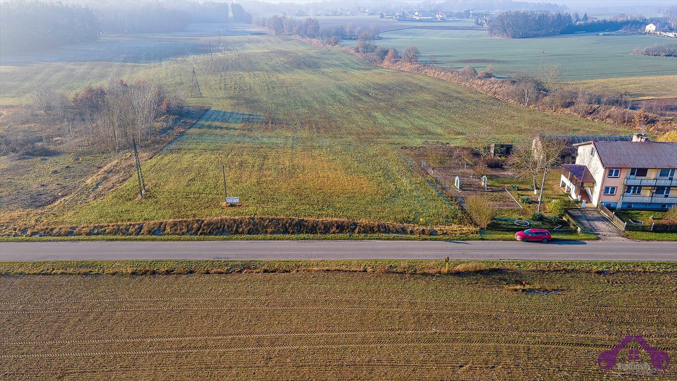 Działka inna na sprzedaż Sarbka  3 100m2 Foto 6