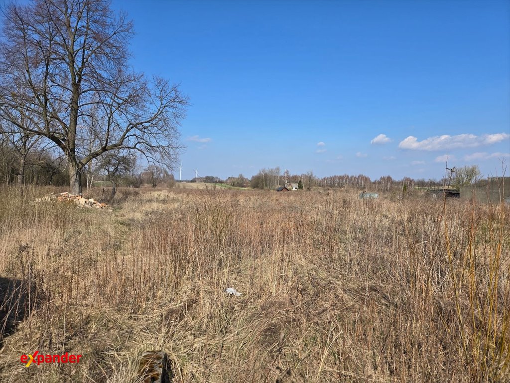Zapraszam do zakupu dużej działki 2,97 ha pod zabudowę i rolnictwo Radostków  29 677m2 Foto 1