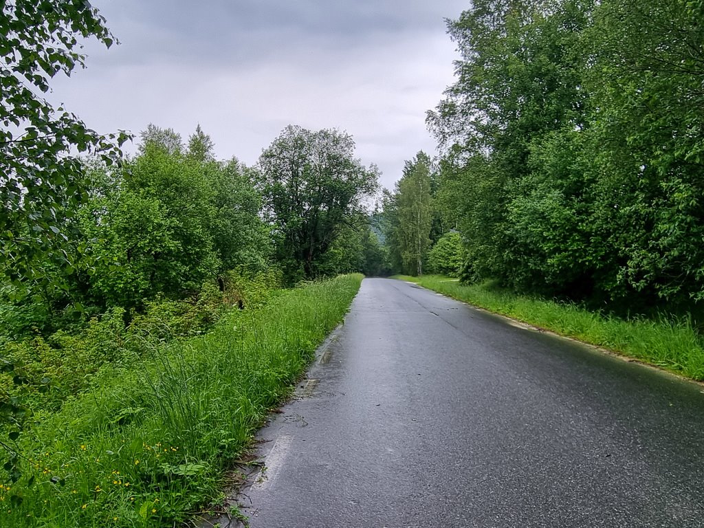 Działka inna na sprzedaż Niemojów  22 900m2 Foto 5