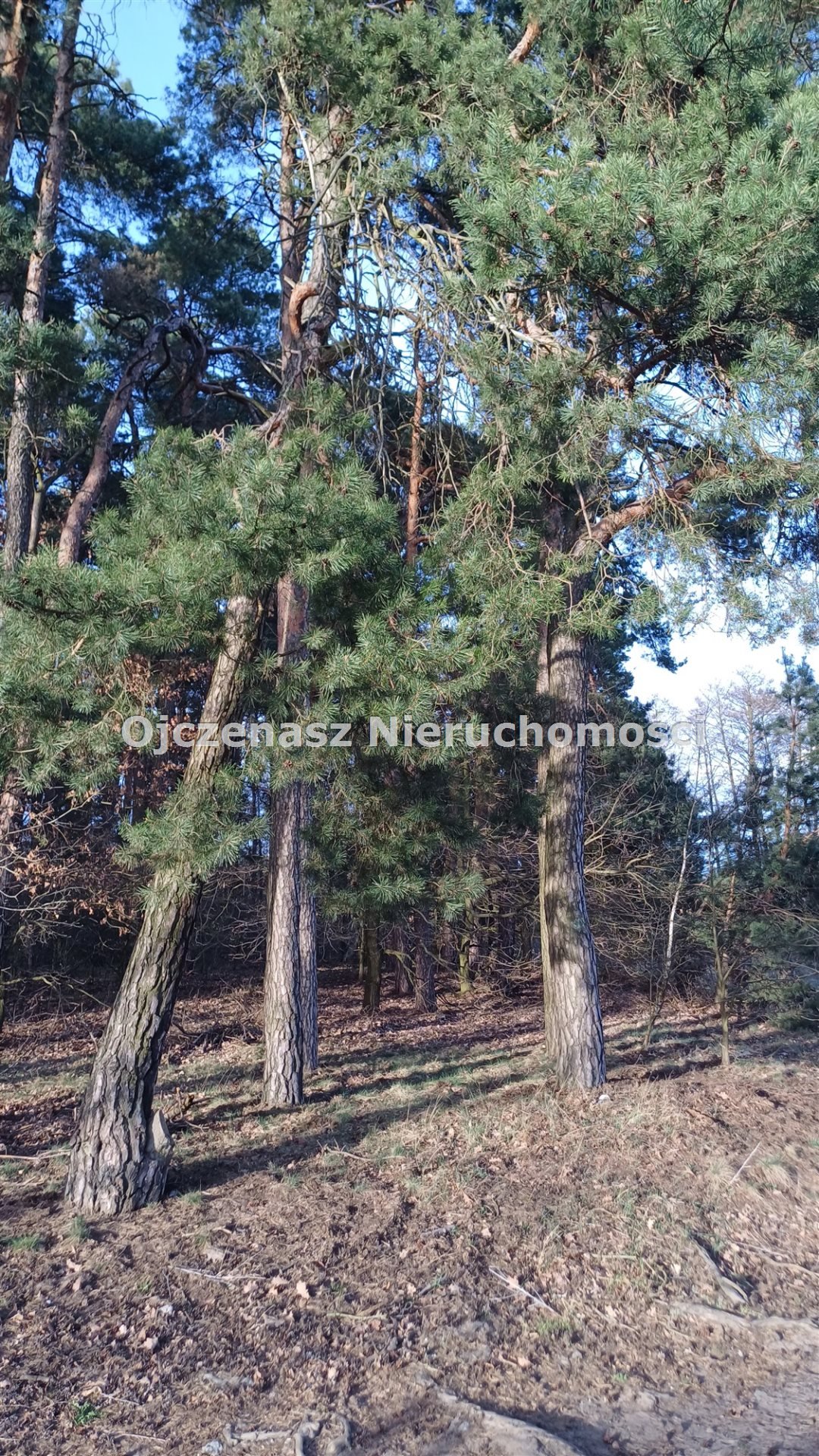 Działka 900 m² z warunkami zabudowy, blisko Torunia - zapraszam Toporzysko  900m2 Foto 1