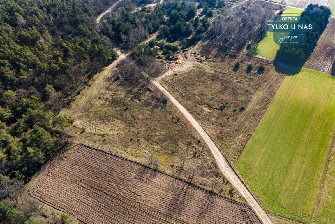 Działka rolna na sprzedaż Wilczków  13 536m2 Foto 7