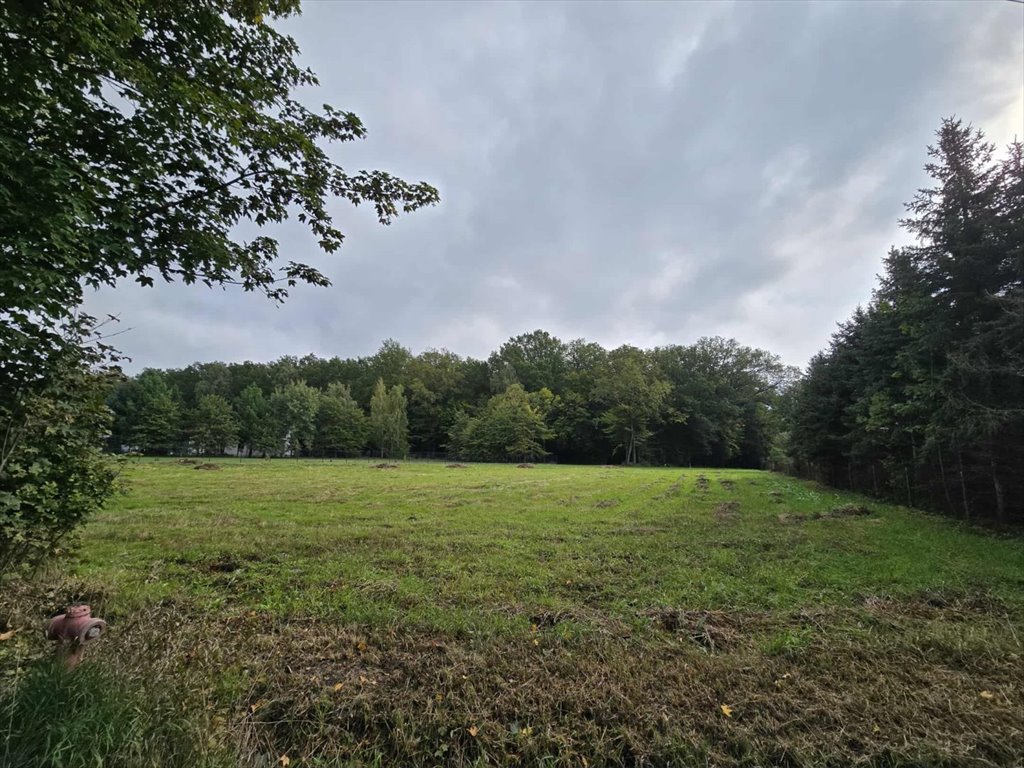 Działka 3042 m² z warunkami zabudowy i lasem za ogrodem Okup Wielki  3 042m2 Foto 1