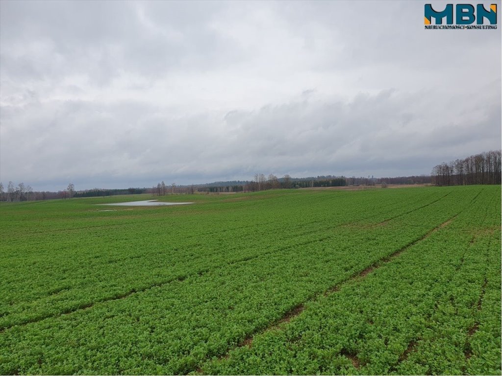 Działka 4,1 ha w Orłowie – malownicza okolica i naturalne piękno Orłowo, Orłowo  41 077m2 Foto 1