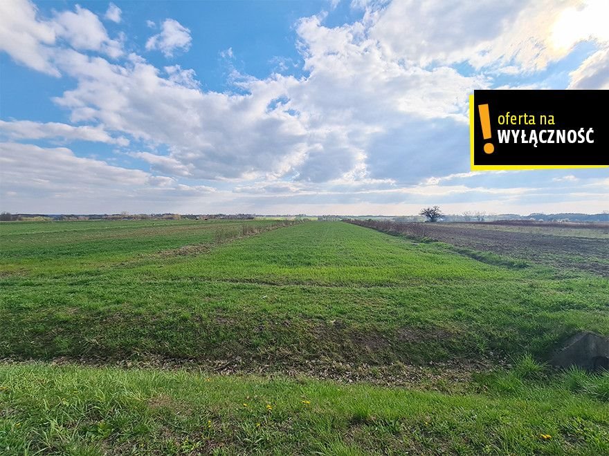 Działka 1,08 ha z mediami (Łubnice) - inwestycja w spokojnej okolicy Łubnice  10 800m2 Foto 1