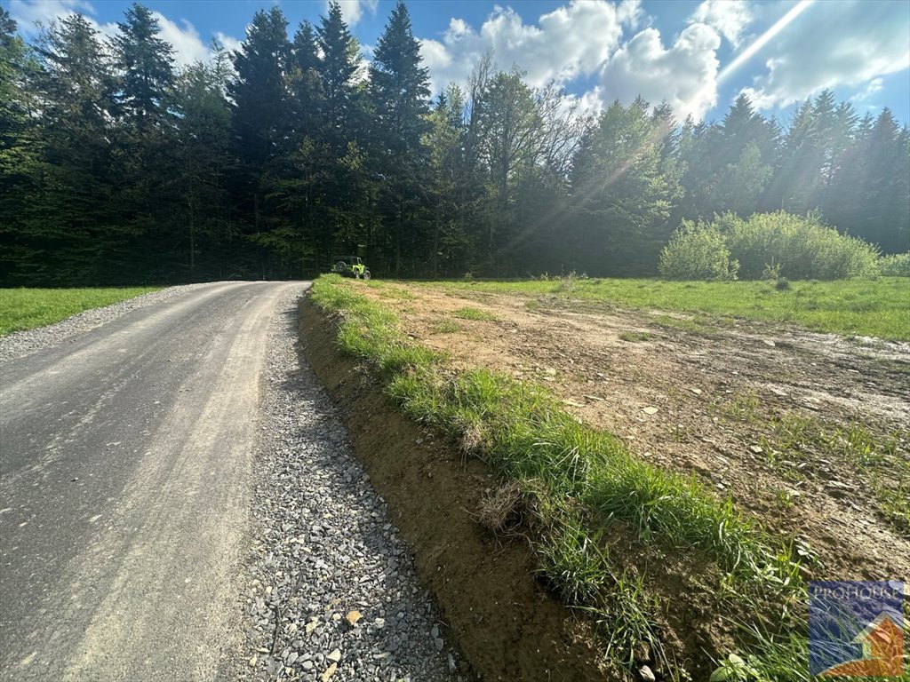 Działka budowlana na sprzedaż Piekiełko  5 617m2 Foto 9