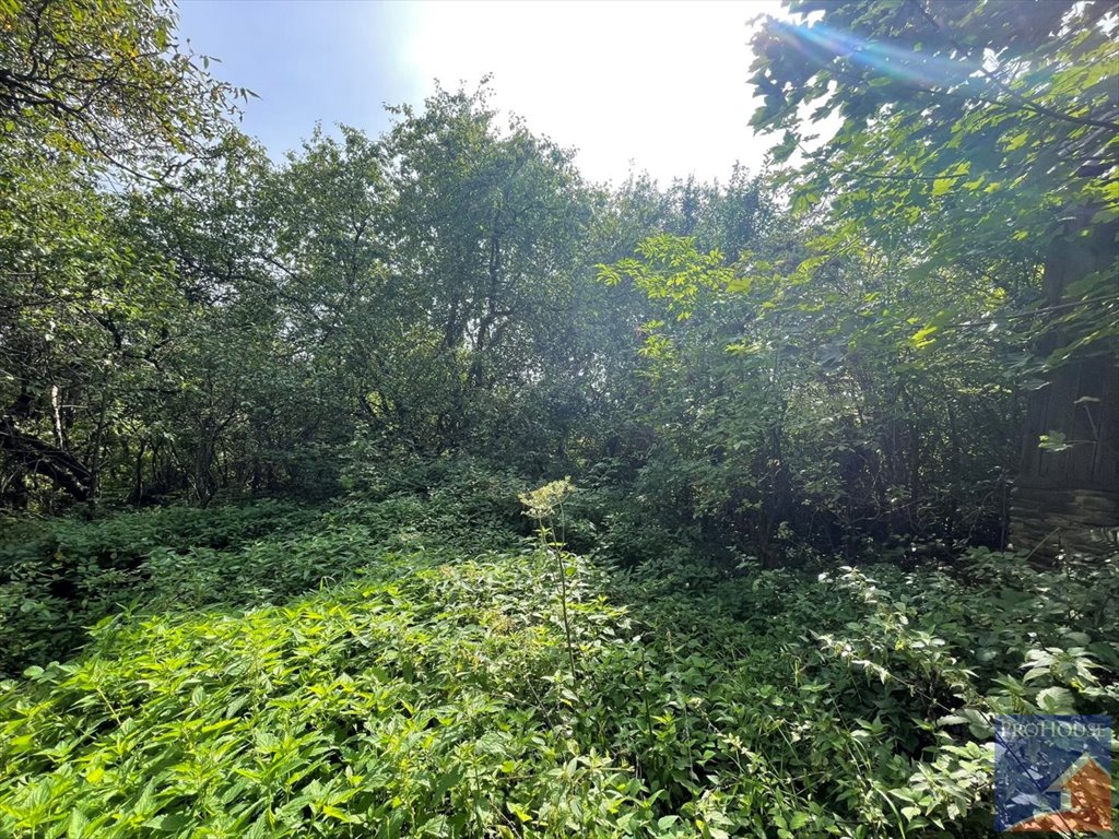 Działka 57 ar z pozostałościami budynków w Kłodnem polecam Kłodne  5 743m2 Foto 1