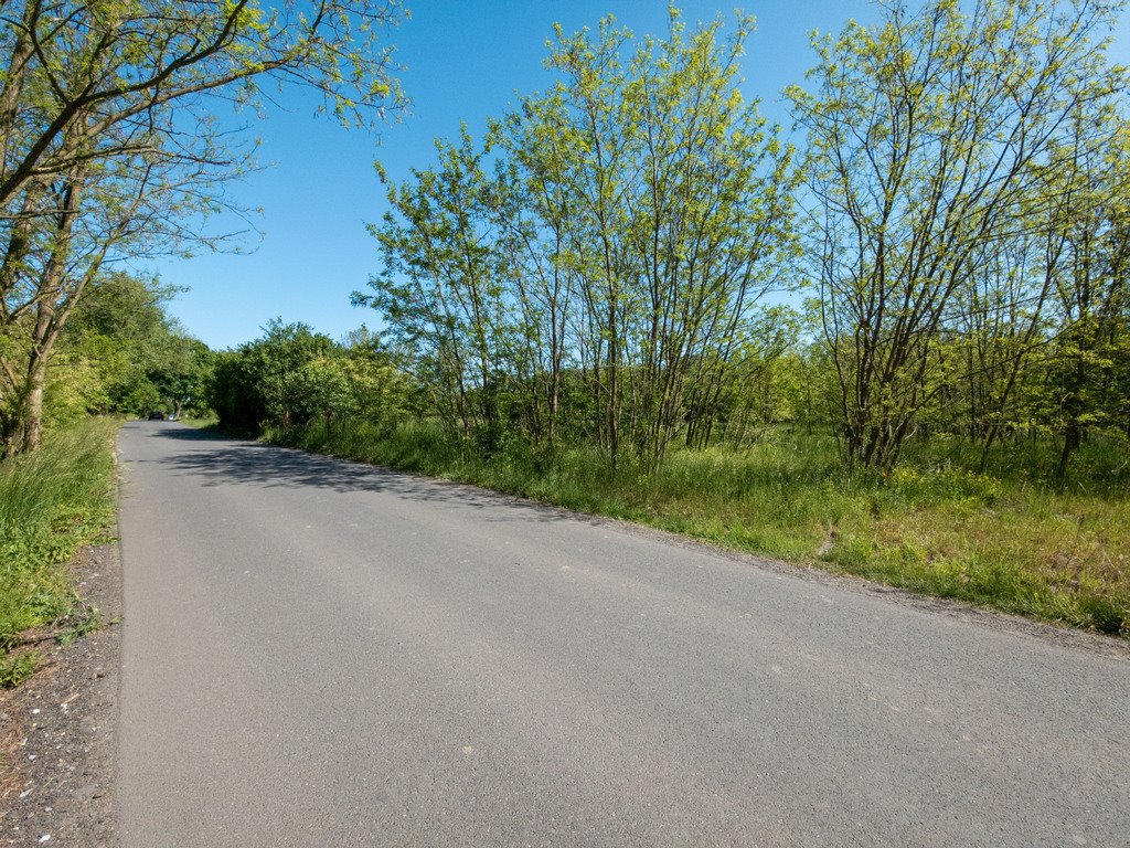 Na sprzedaż działka 4628 m² z mediami i podziałem w Dzierżnie Pyskowice, Dzierżno  4 628m2 Foto 1