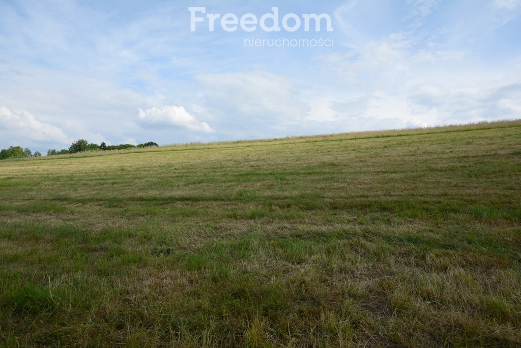 Działka budowlana na sprzedaż Frydrychowice  993m2 Foto 15