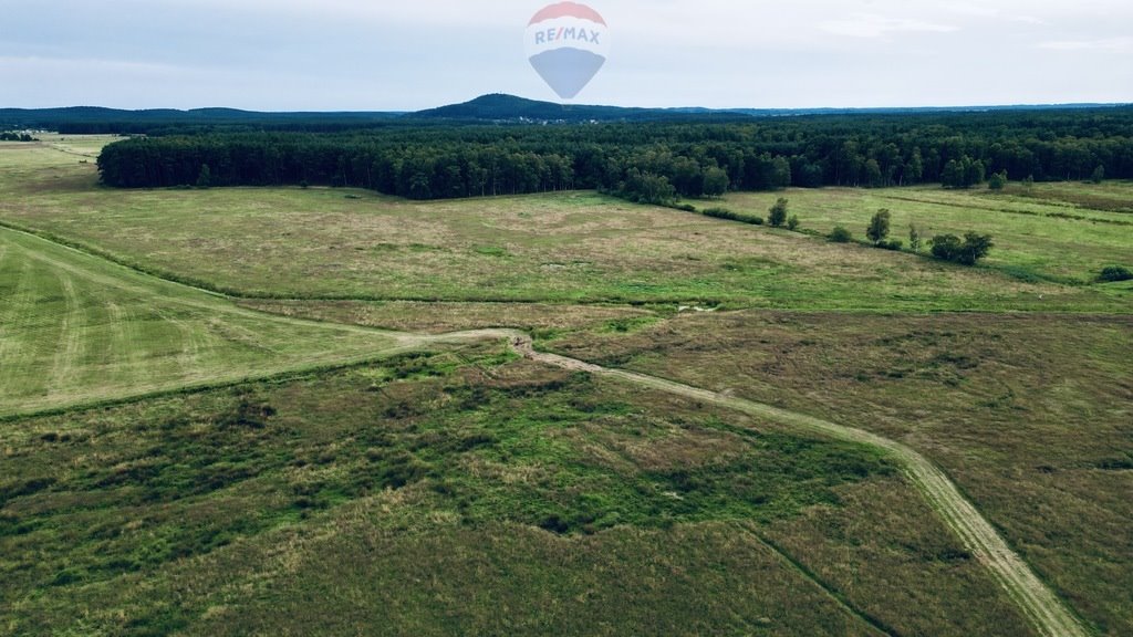 Działka inna na sprzedaż Smołdziński Las  81 864m2 Foto 7