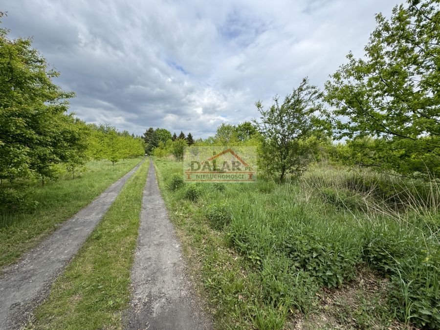 Działka budowlana na sprzedaż Kruszew  1 000m2 Foto 11