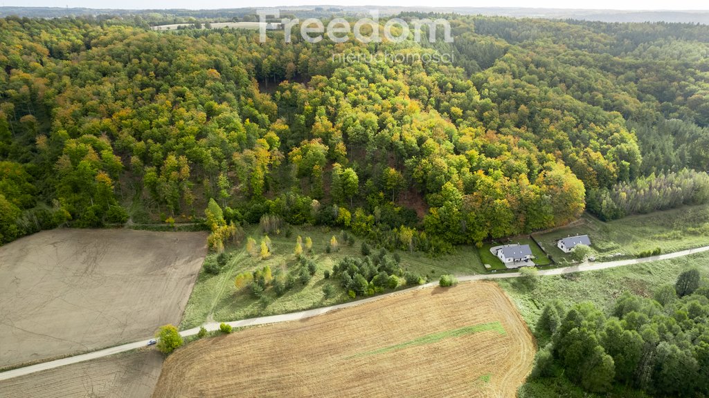 Działka budowlana na sprzedaż Klonowo Dolne, Głęboka  9 739m2 Foto 3