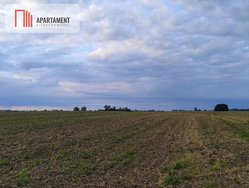 Działka 5 000 m² z widokiem, warunki zabudowy, blisko morza Borkowice  5 000m2 Foto 1