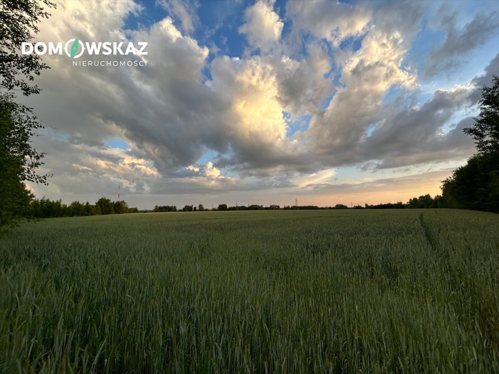 Działka rolna na sprzedaż Dobrów  188 872m2 Foto 6