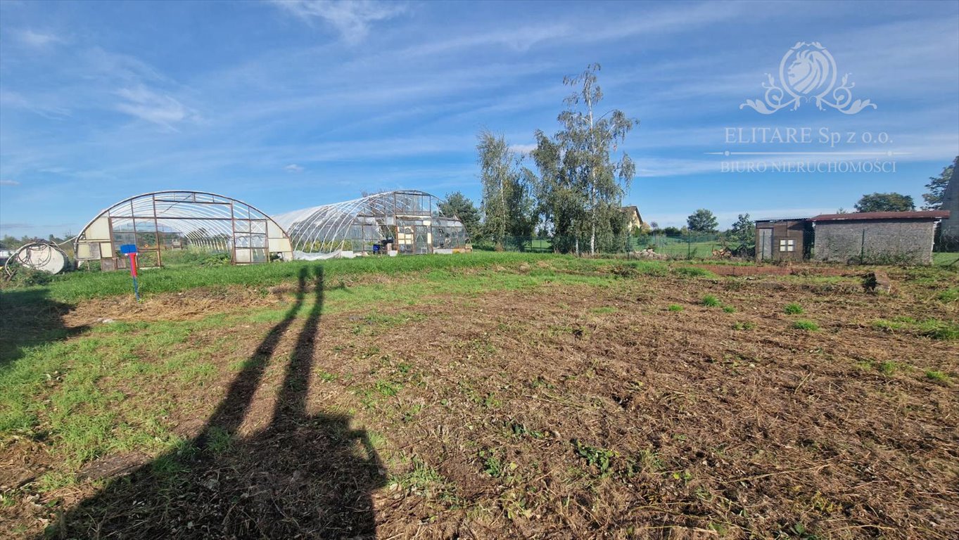 Działka budowlana na sprzedaż Nowa Wieś Wrocławska, Nowa Wieś Wrocławska  1 699m2 Foto 12