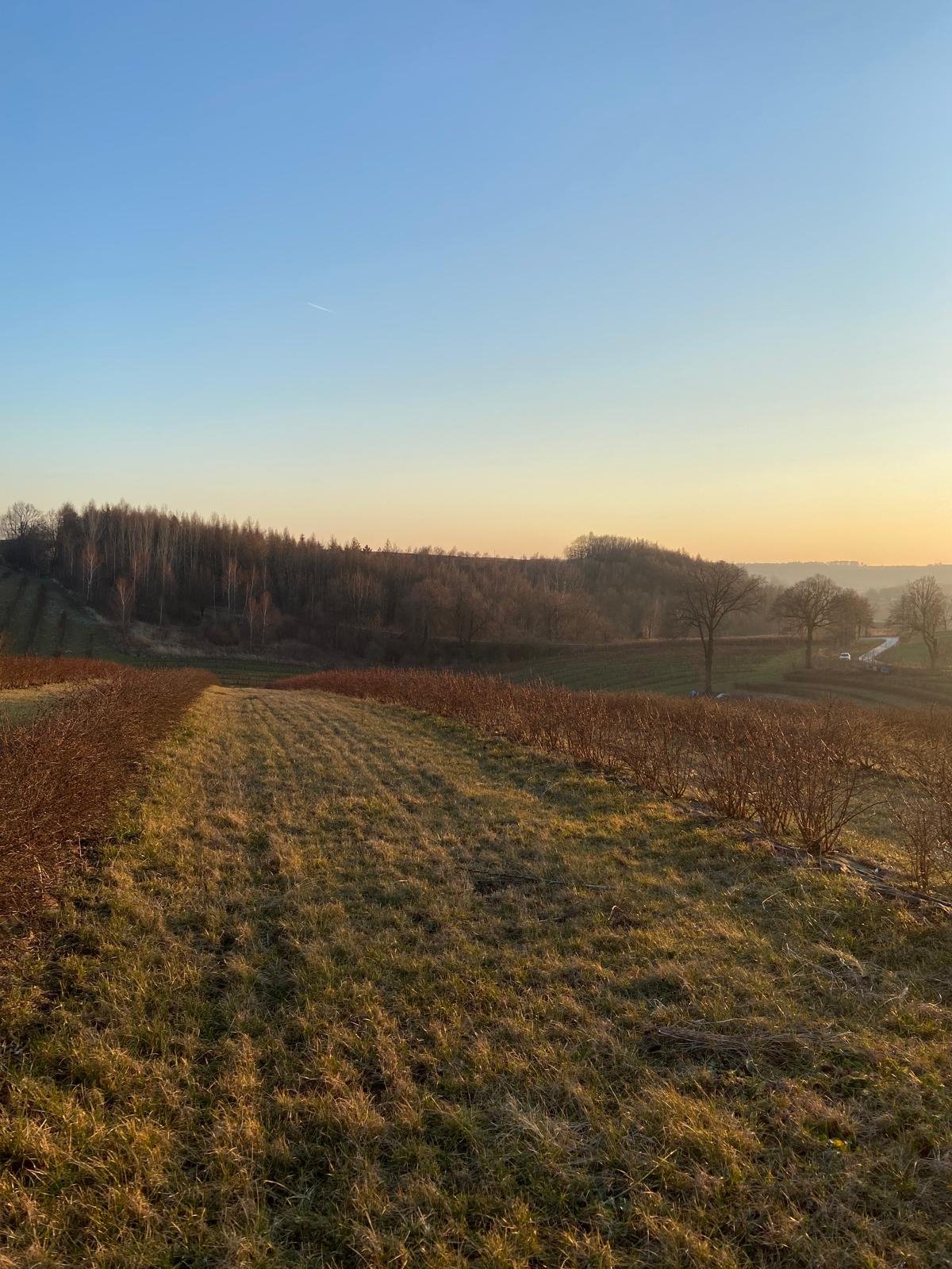 Do sprzedania działka budowlana z pozwoleniem na dom w Kępie Kępie, Kępie  1 002m2 Foto 1