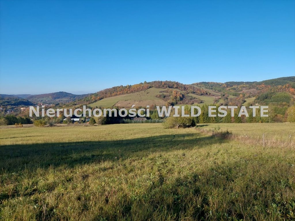 Działka budowlana na sprzedaż Baligród, Baligród  3 653m2 Foto 5