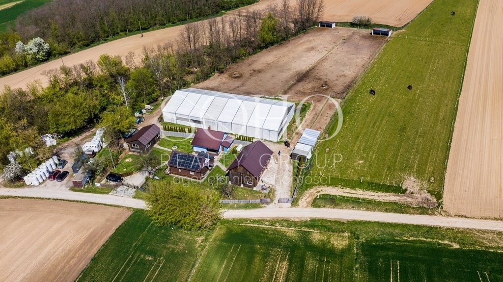 Do sprzedania profesjonalny ośrodek jeździecki z halą i domami Muniakowice  15 000m2 Foto 1