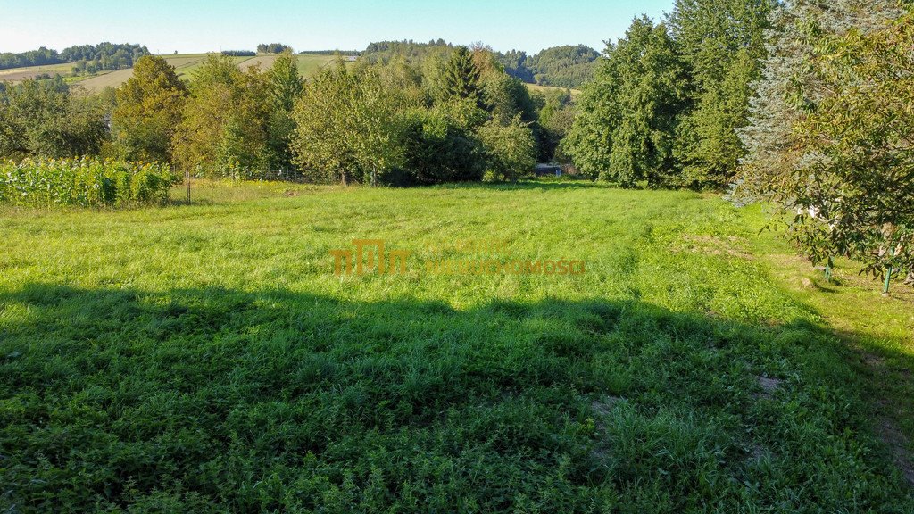 Działka budowlana na sprzedaż Białka  16 500m2 Foto 19