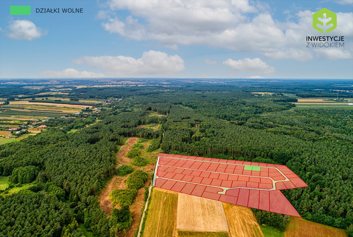 Działka 500 m² w lesie, 11 min od Rawy Mazowieckiej Ossa, Ostatnie działki w tej cenie - 55 min od Warszawy  500m2 Foto 1