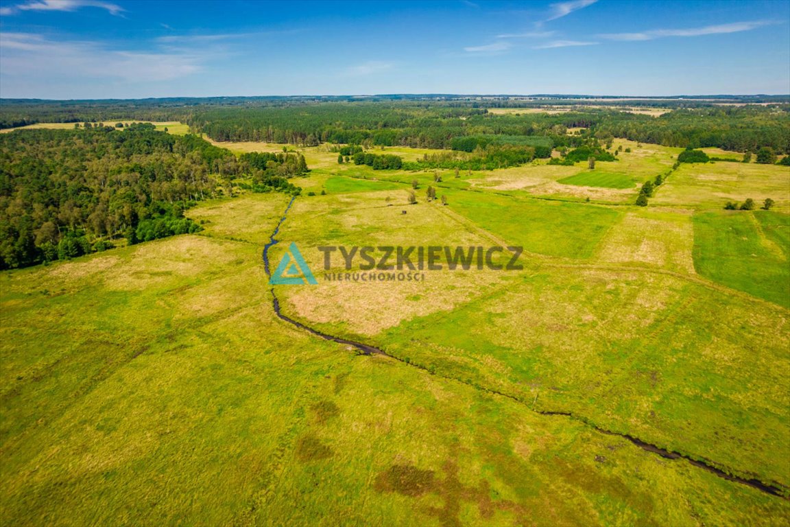 Działka rolna na sprzedaż Poborowo  9 200m2 Foto 2