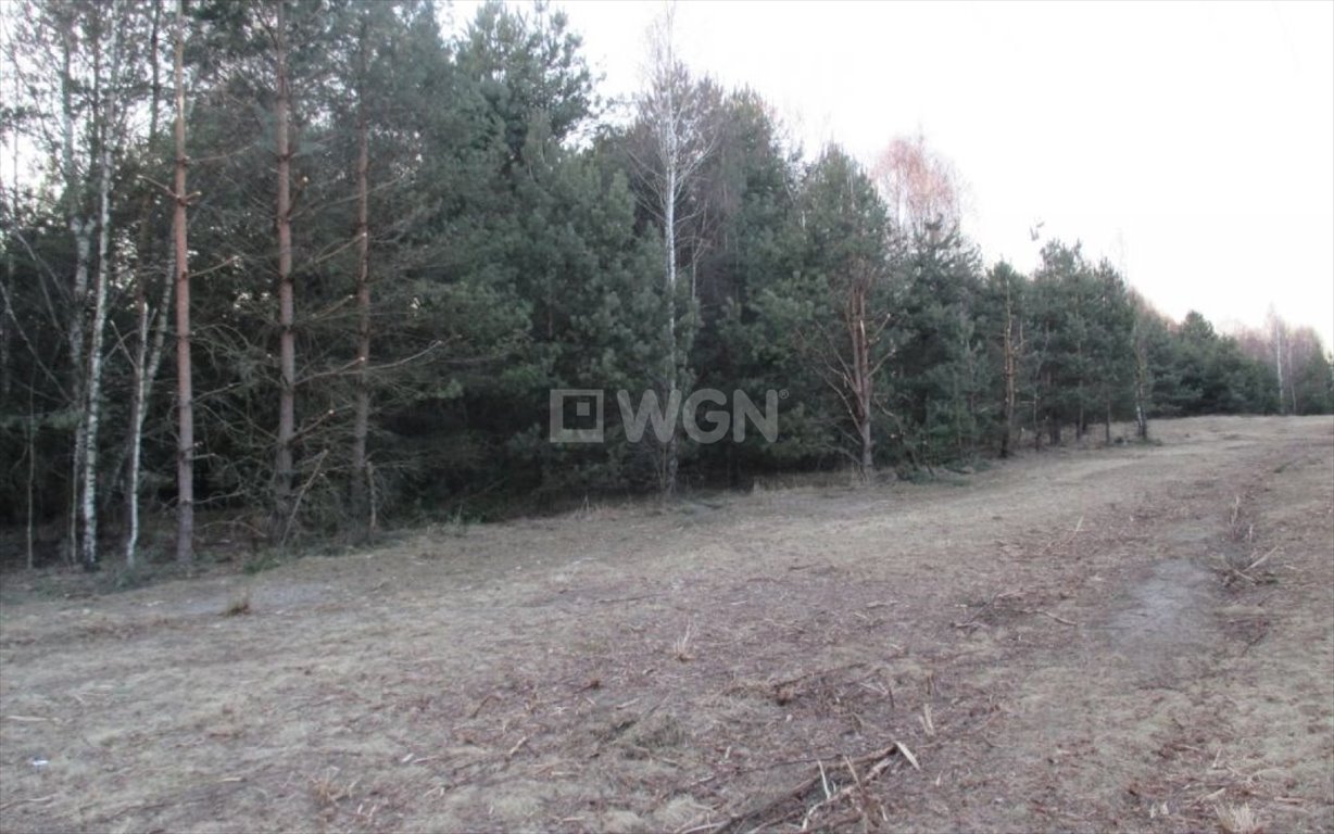 Działka budowlana na sprzedaż Poraj, Jastrząb  8 643m2 Foto 3