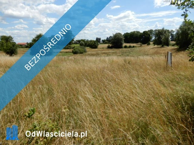 Działka rolna na sprzedaż Trzeszyn  46 400m2 Foto 1