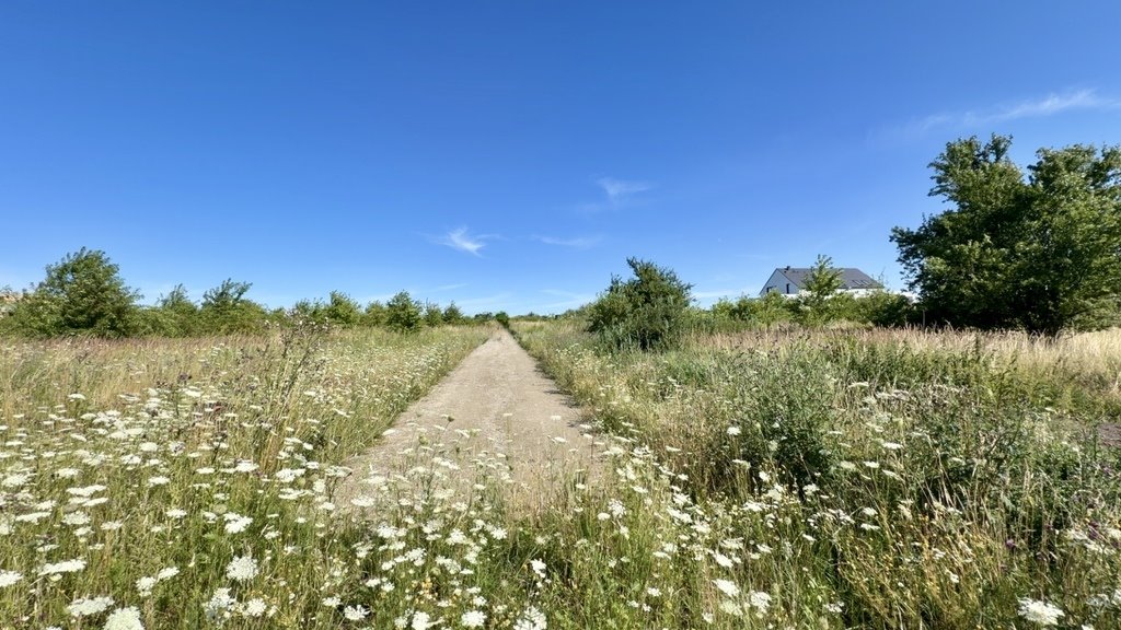 Polecam działkę 805 m² w Wołczkowie - gotowa do budowy! Wołczkowo  805m2 Foto 1
