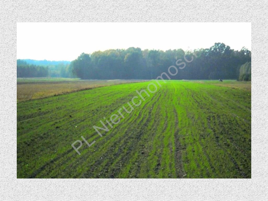 Działka rolna na sprzedaż Nowe Zalesie  3 960m2 Foto 2