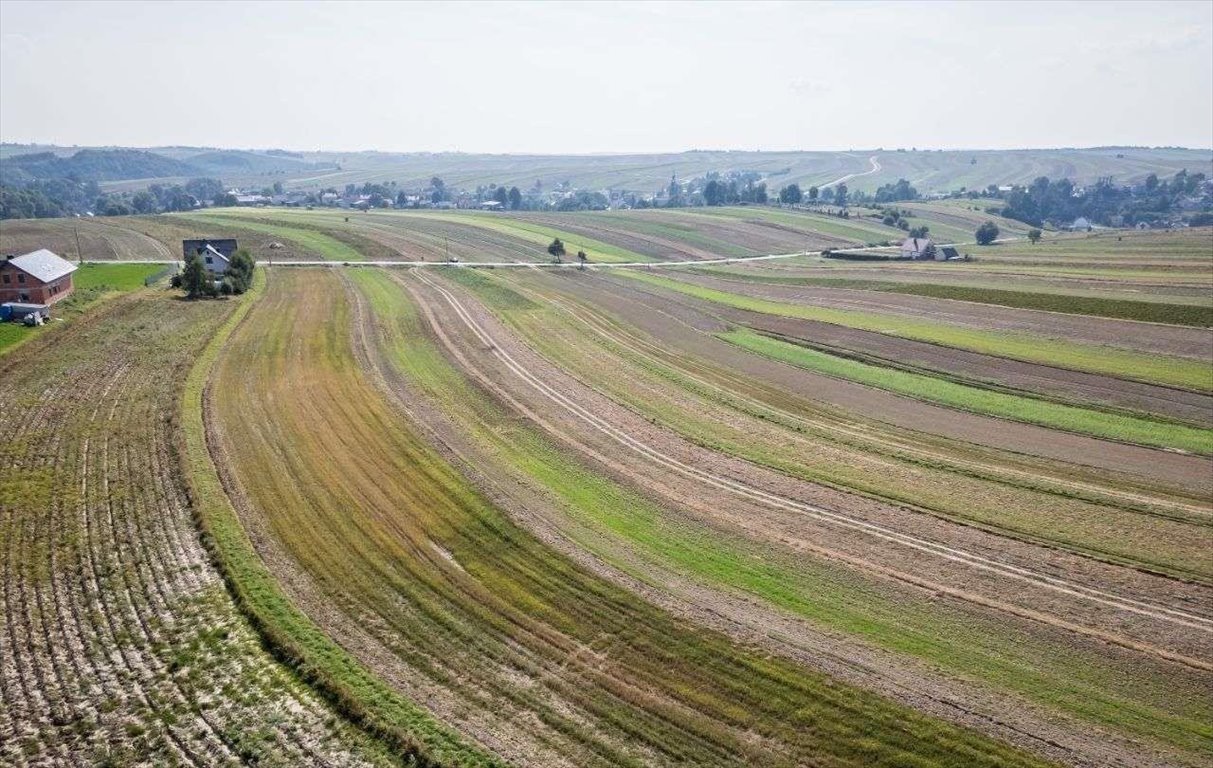 Działka siedliskowa na sprzedaż Sułoszowa  29 400m2 Foto 10