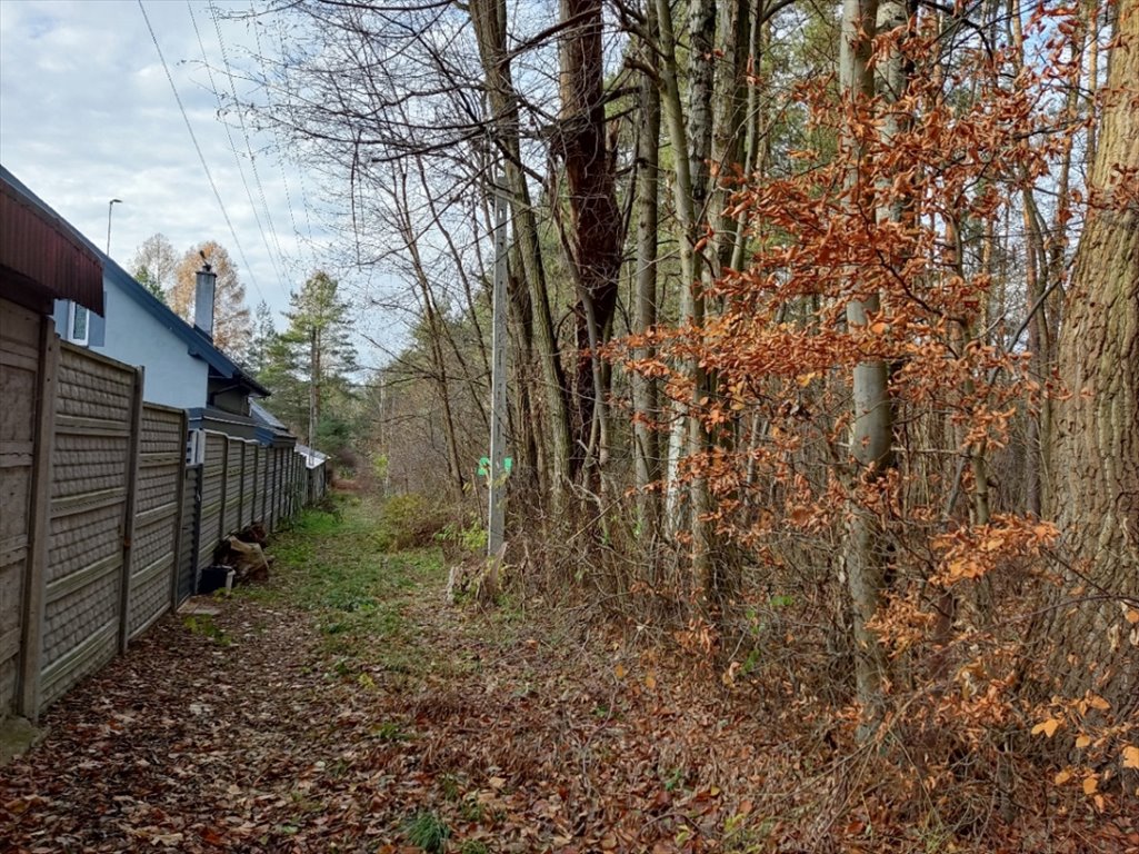 Działka budowlana na sprzedaż Tuszyn, Rydzynki, Sadowa  1 500m2 Foto 6