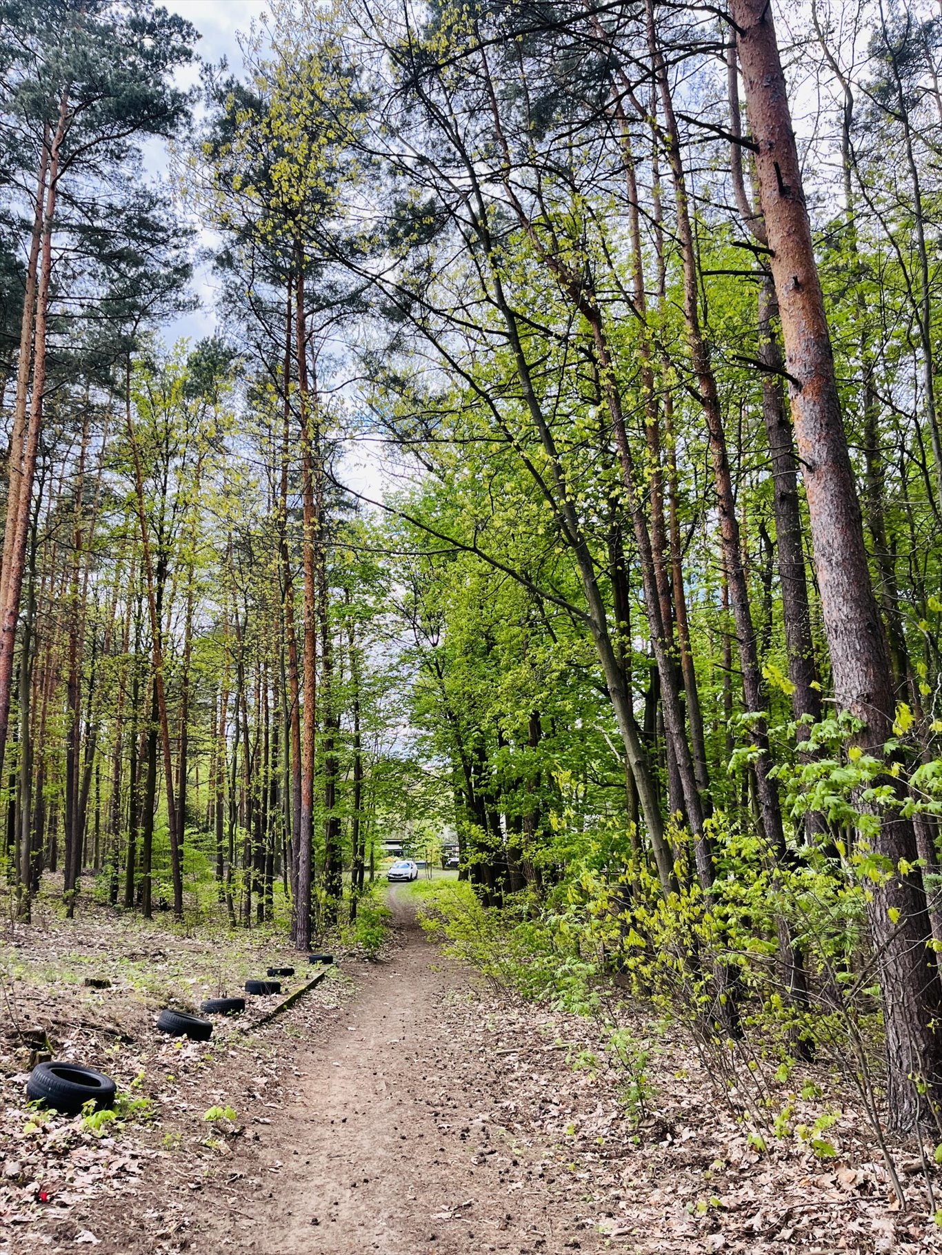 Działka inna na sprzedaż Wołomin, Orzechowa  2 000m2 Foto 5