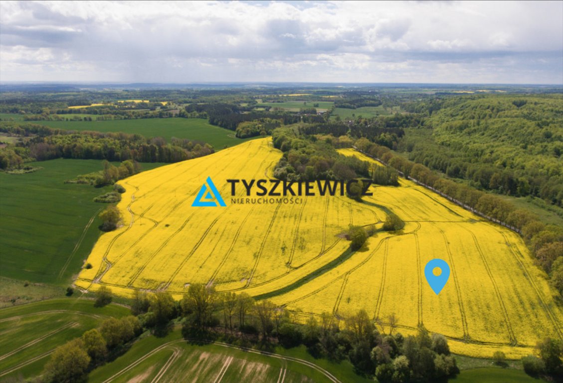 Działka 21 000 m² z dostępem do mediów i planem zagospodarowania Warcz  21 000m2 Foto 1