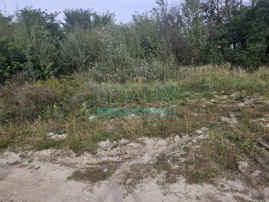 Działka budowlana na sprzedaż Grodzisk Mazowiecki  2 700m2 Foto 6