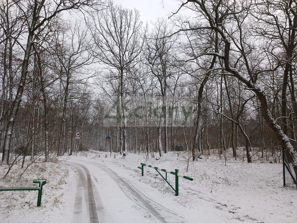 Działka 1562 m² w zielonej okolicy, blisko lasów Warszawa, Białołęka, Choszczówka  1 562m2 Foto 1