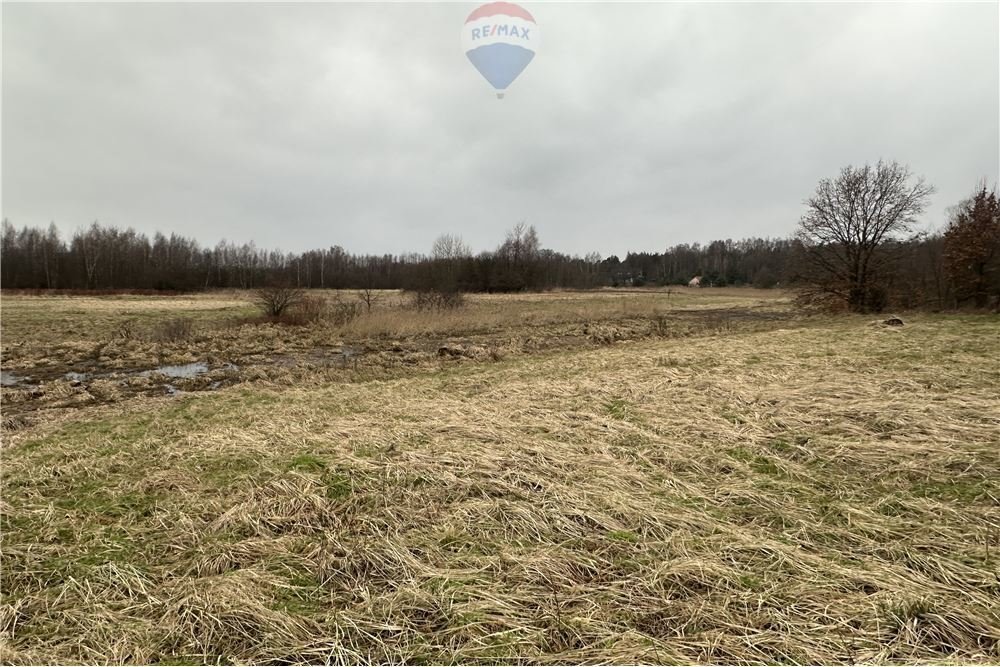 Działka rolna 1134 m² blisko drogi 781 w Jankowicach Jankowice  1 134m2 Foto 1