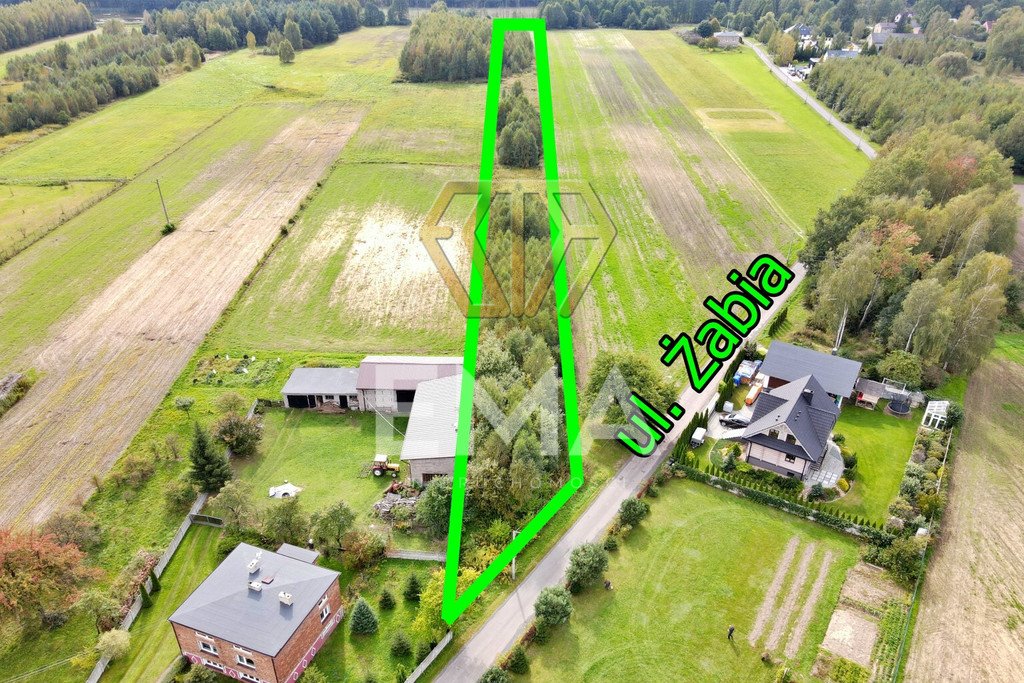 Działka 6440 m² z warunkami zabudowy, las i Zalew Kłobuck, Zakrzew, Żabia  6 440m2 Foto 1
