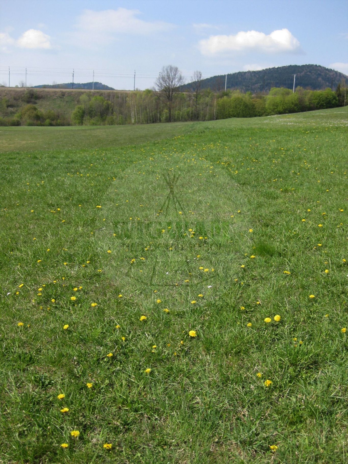 Działka budowlana na sprzedaż Ptaszkowa  1 000m2 Foto 2