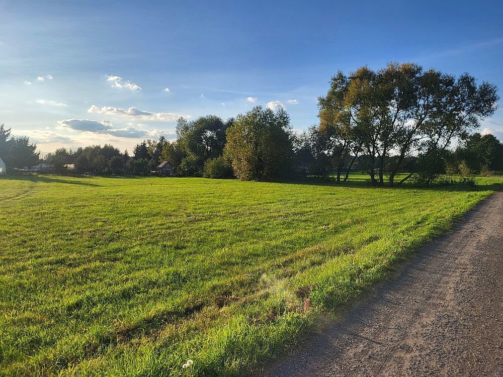 Działka budowlana na sprzedaż Gniewniewice Folwarczne  1 231m2 Foto 6