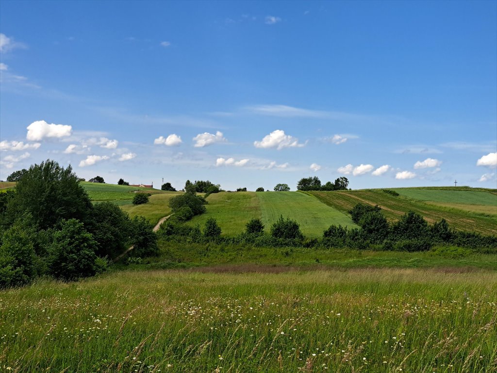 Działka leśna na sprzedaż Podniebyle  6 089m2 Foto 7