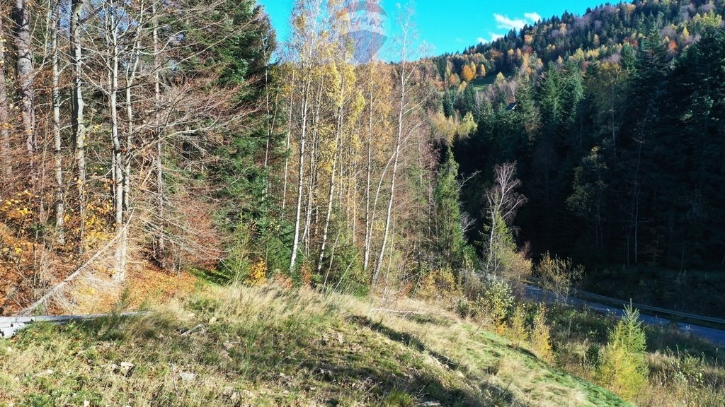 Działka budowlana na sprzedaż Sidzina  1 781m2 Foto 14