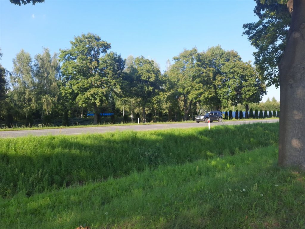 Do sprzedania działka 16 968 m² przy trasie Warszawa-Poznań Seroki-Wieś  16 968m2 Foto 1