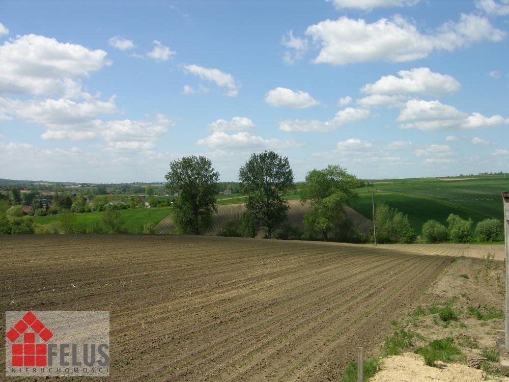 Działka inna na sprzedaż Opatkowice  5 000m2 Foto 8