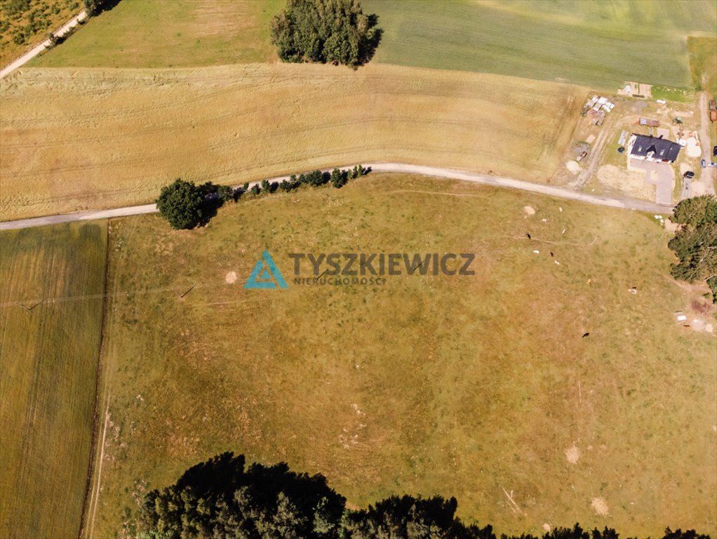 Działka siedliskowa na sprzedaż Milwino, Rolnicza  3 111m2 Foto 11