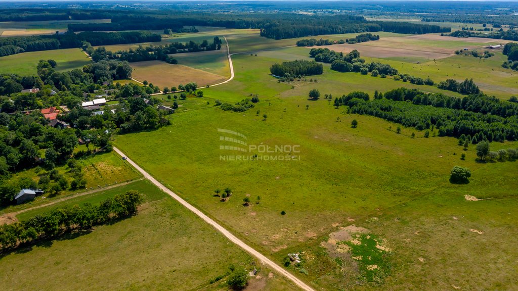 Działka rolna na sprzedaż Mieleszki-Kolonia  3 003m2 Foto 10