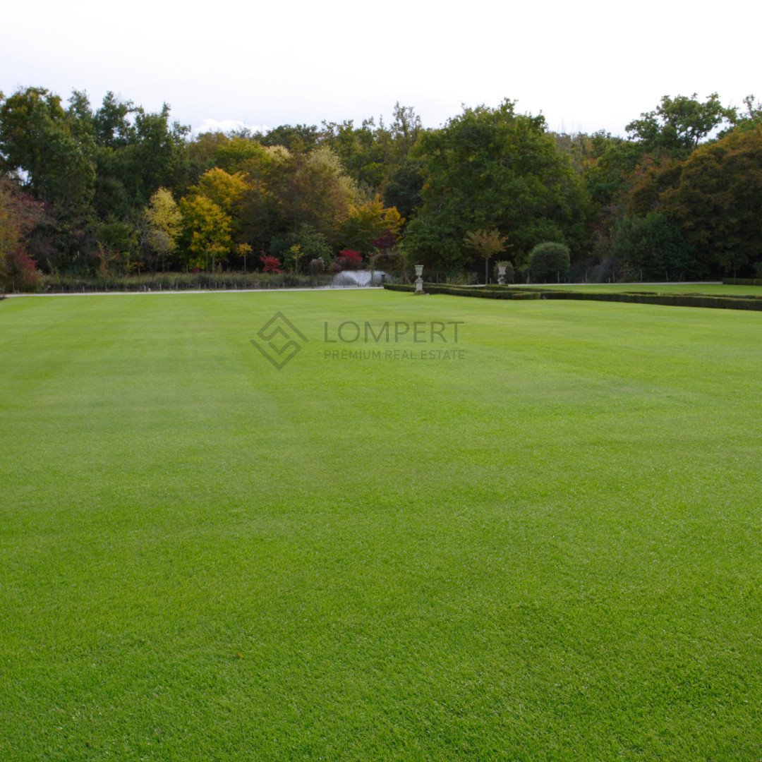 Działka przemysłowo-handlowa na sprzedaż Dawidy  12 459m2 Foto 1