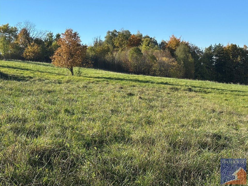 Działka pod dom w Starej Wsi, decyzja o zabudowie Stara Wieś  1 183m2 Foto 1