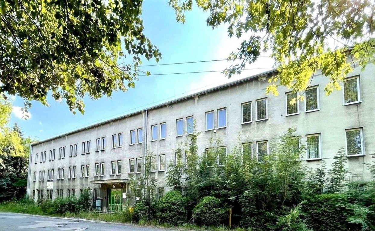 Lokal użytkowy na sprzedaż Mysłowice, Brzezinka, ul. Laryska  1 000m2 Foto 20